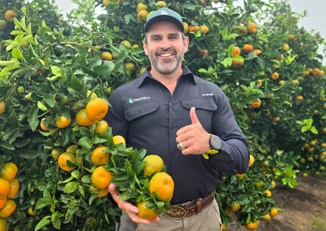 Inteligro | Trusted Intelligent Crop Solutions