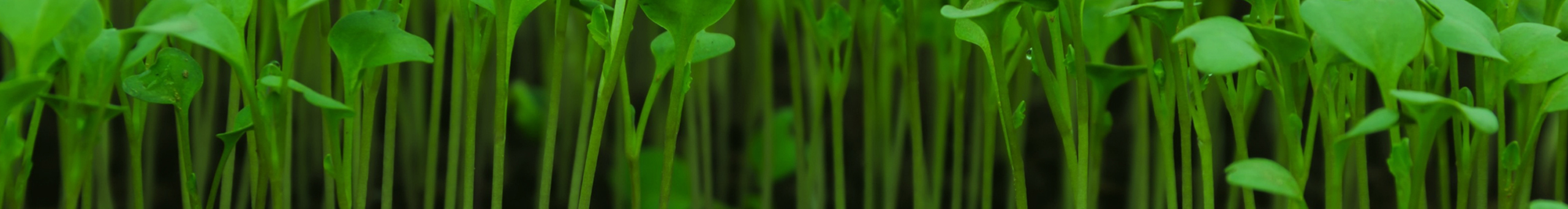 Inteligro | Trusted Intelligent Crop Solutions