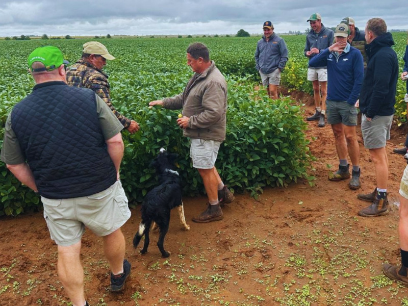 Inteligro | Trusted Intelligent Crop Solutions