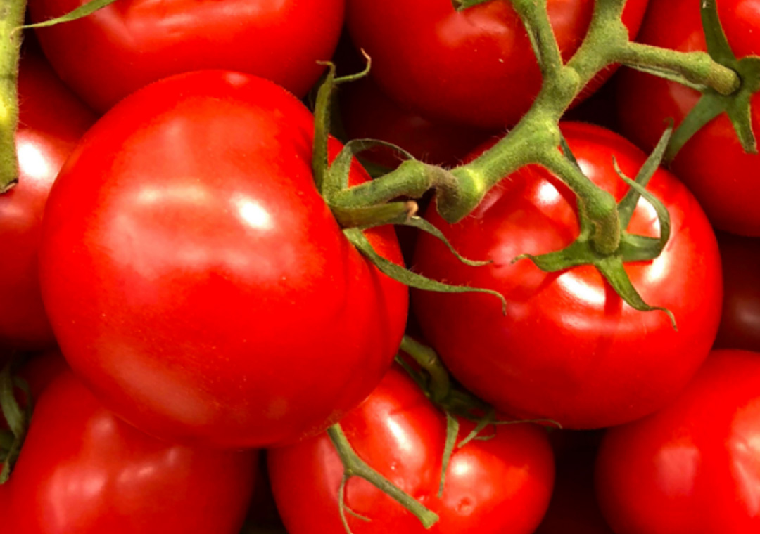 Inteligro | Trusted Intelligent Crop Solutions