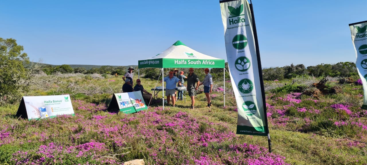 haifa at 2023 citrus rally