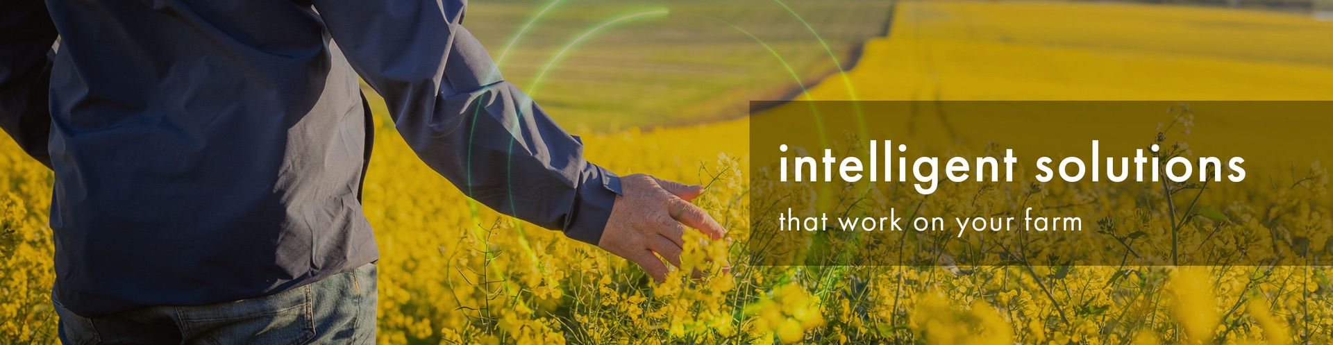 Intelligent Crop Solutions | InteliGro