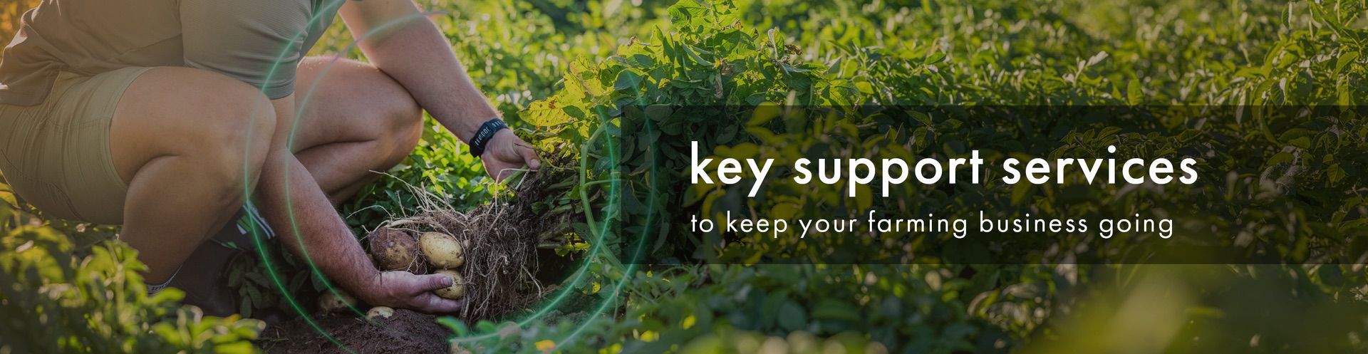 Key Support Services | InteliGro
